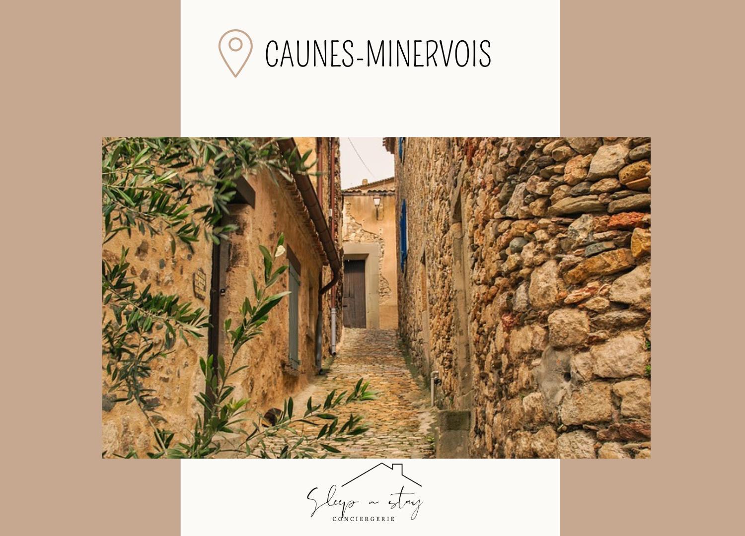 Apartment Carcasses Carcassonne Dış mekan fotoğraf